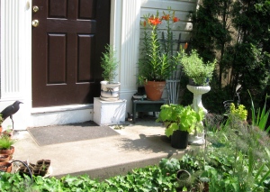 My front stoop (or porch, depending on where you\'re from)